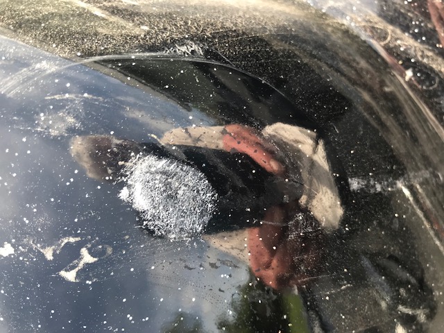Windshield