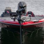 Bass Cat Jaguar Bow Light